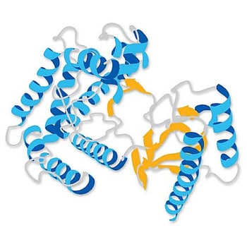 Purospher® STAR RP-18 封端 5μm Hibar® RT 150-3 HPLC 柱 150617 1STMerck(默克密理博)1.50617.0001